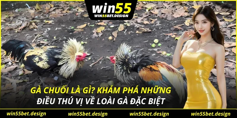 Gà Chuối